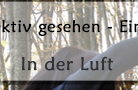 In der Luft