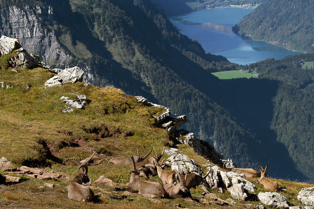 027_-_Ausblick_-_Schiltgebiet_13.09.2011