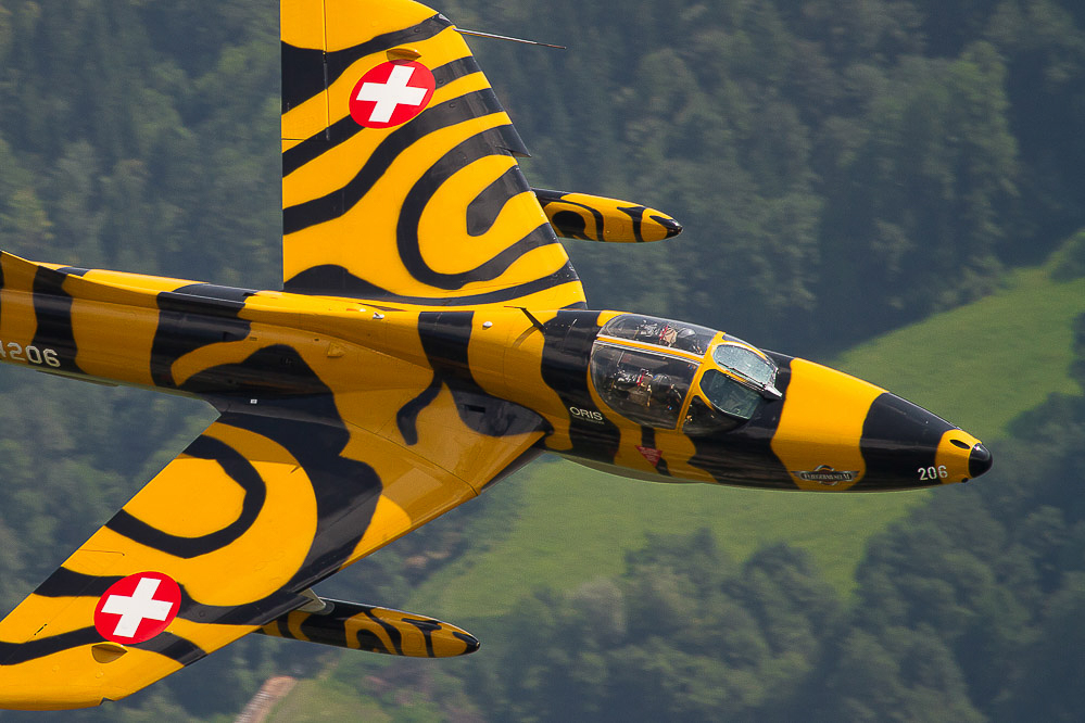 039_-_Hallo_-_Wiggisboden_09.07.2011