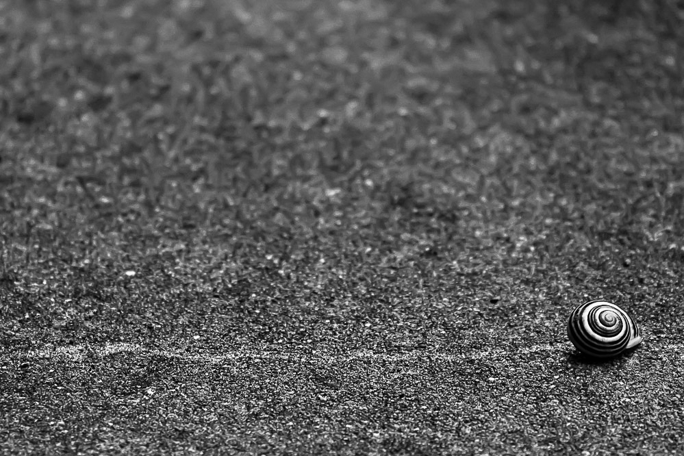 044_-_Bald_geschafft_-_Zuhause_10.06.2011