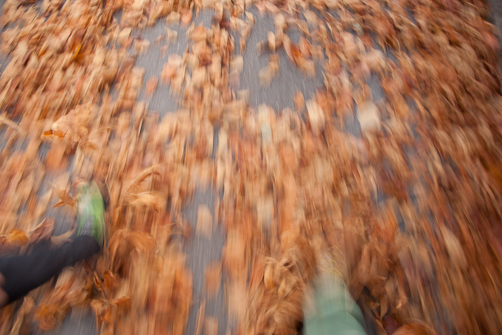 004 - Tempo - Zug 17.11.2012