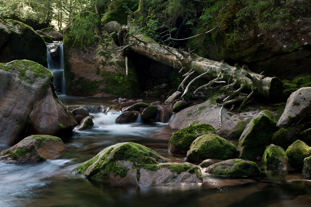 019 - Oase - Murgtal 05.08.2012