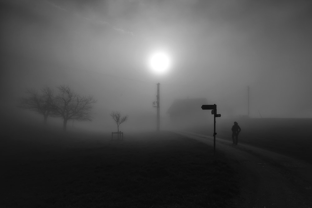 006_-_Nebellauf_-_Rossberg_29.11.2014
