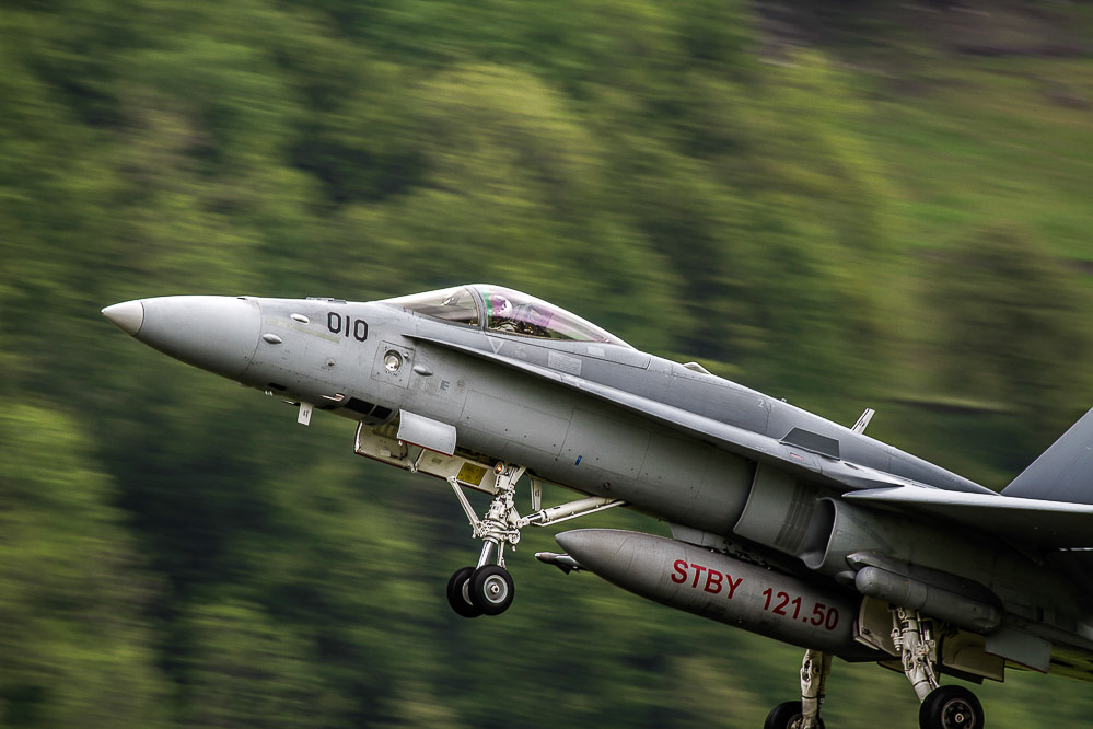 035_-_Hornisse_-_Buochs_14.05.2014