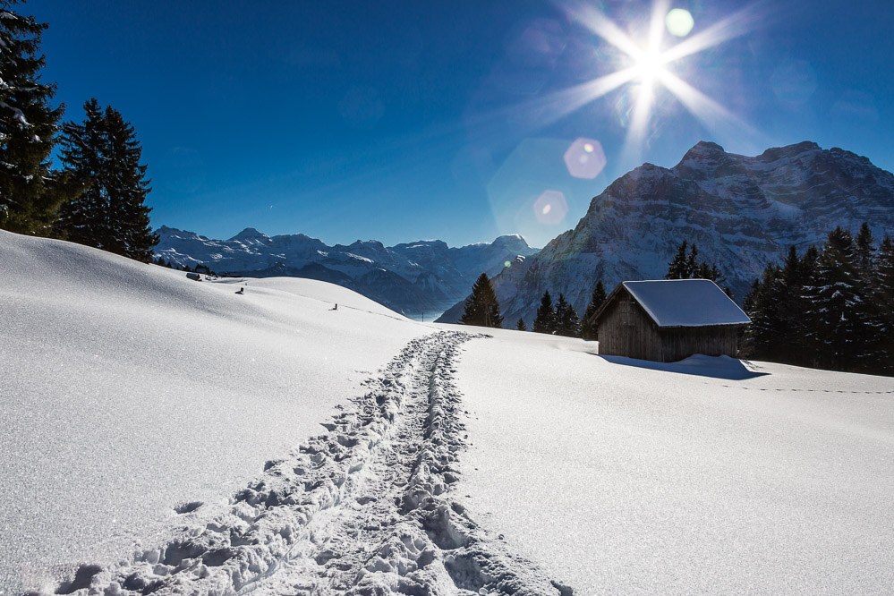 2017-001 Der Weg zur Sonne
