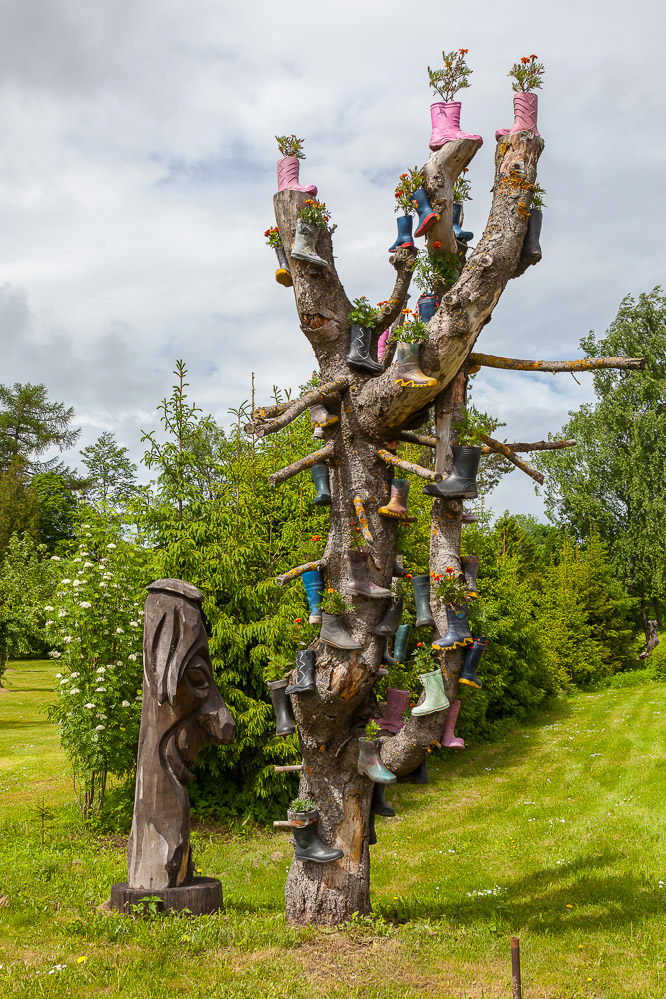 2017-017 Stiefelbaum