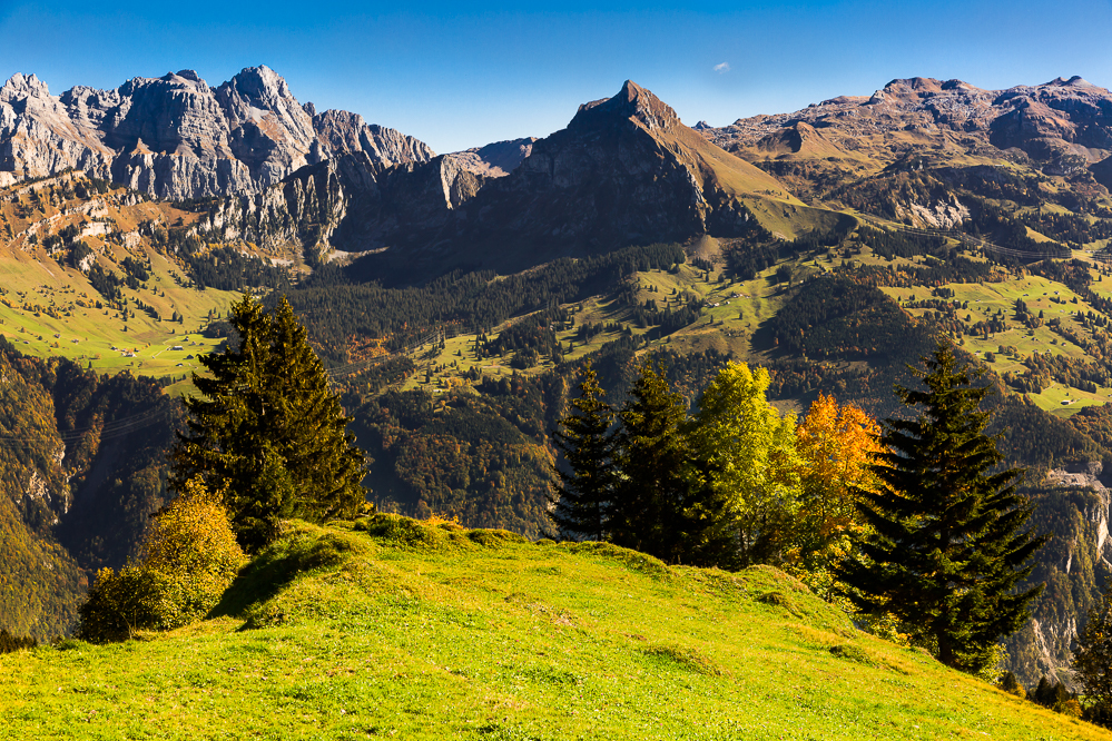 129 - Herbst