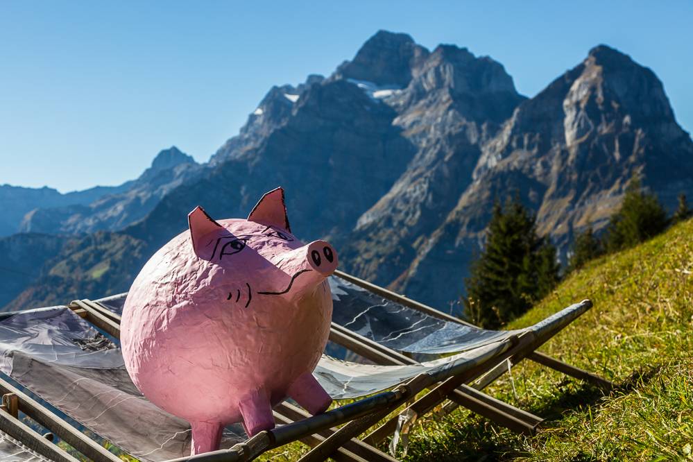 130 - Schwein in Aeugsten