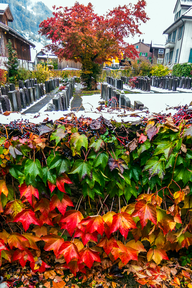 138 - Herbst