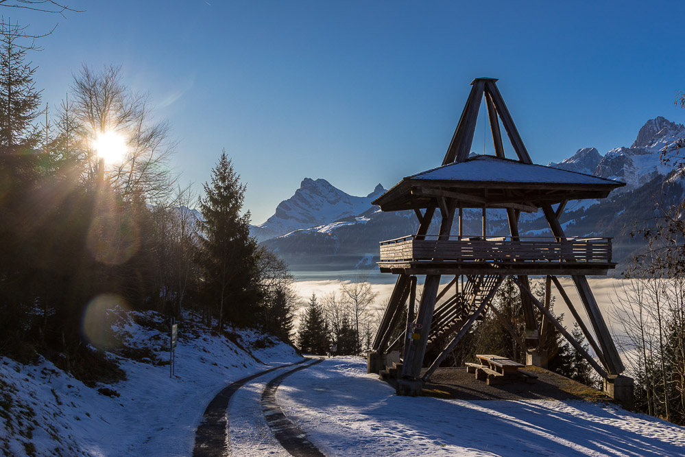 2020-01 Turm Schwanderberg