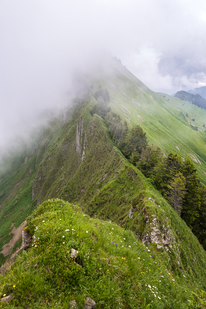 2016_021_Gratwanderung auf dem Tierberg