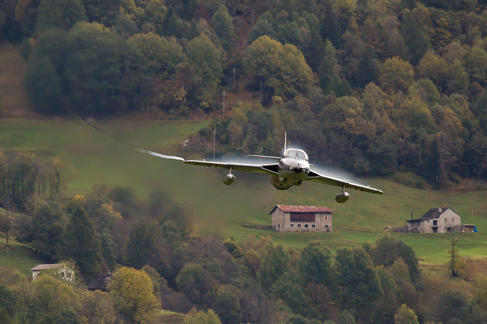 ambri_017