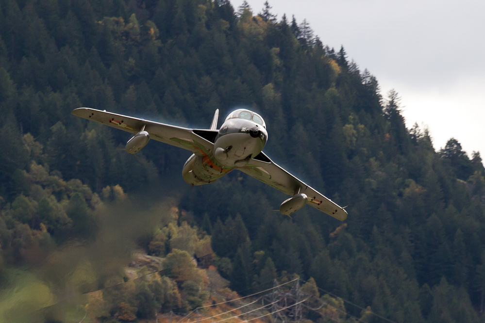 ambri_018