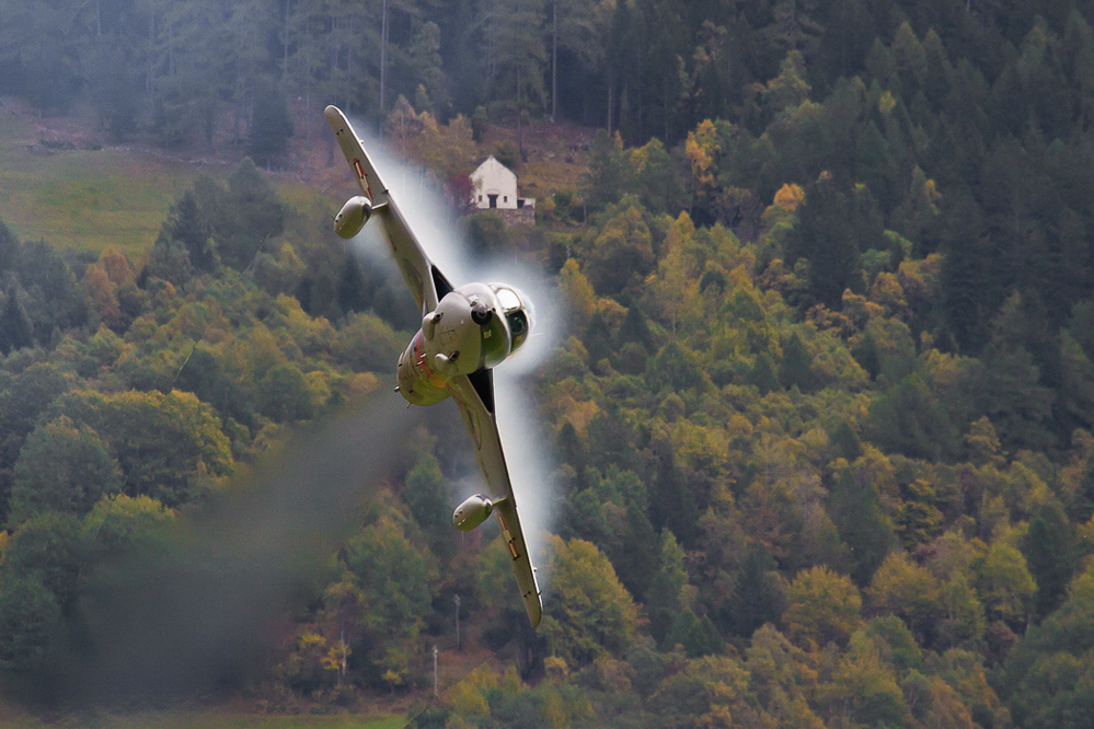 ambri_019