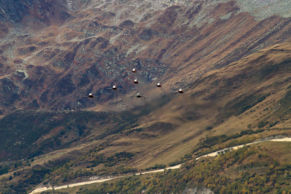 ambri_037