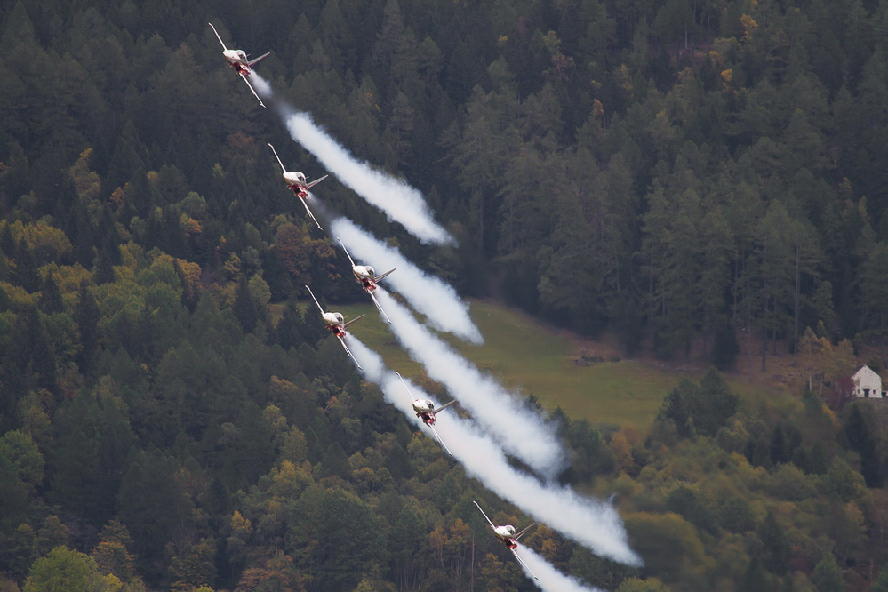 ambri_043