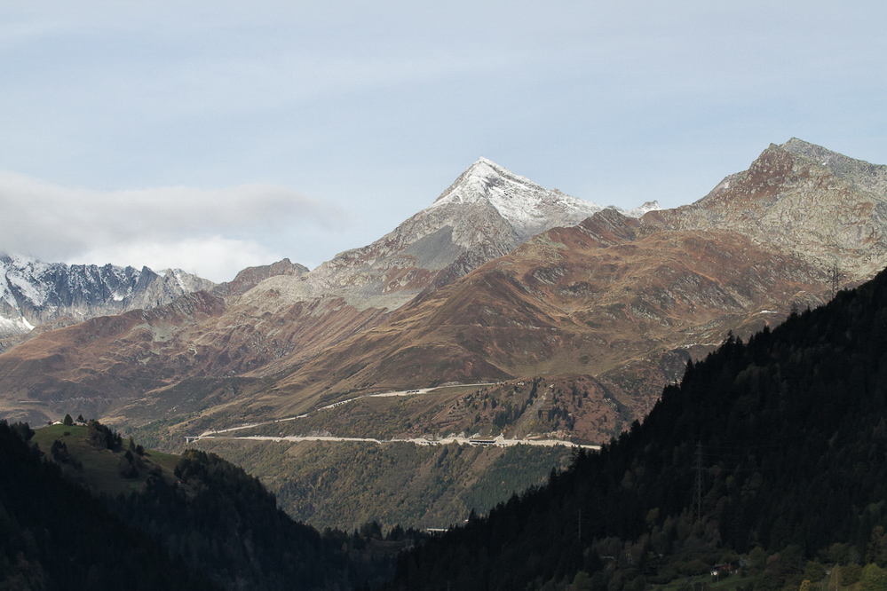 ambri_047