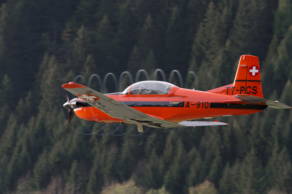 ambri_048