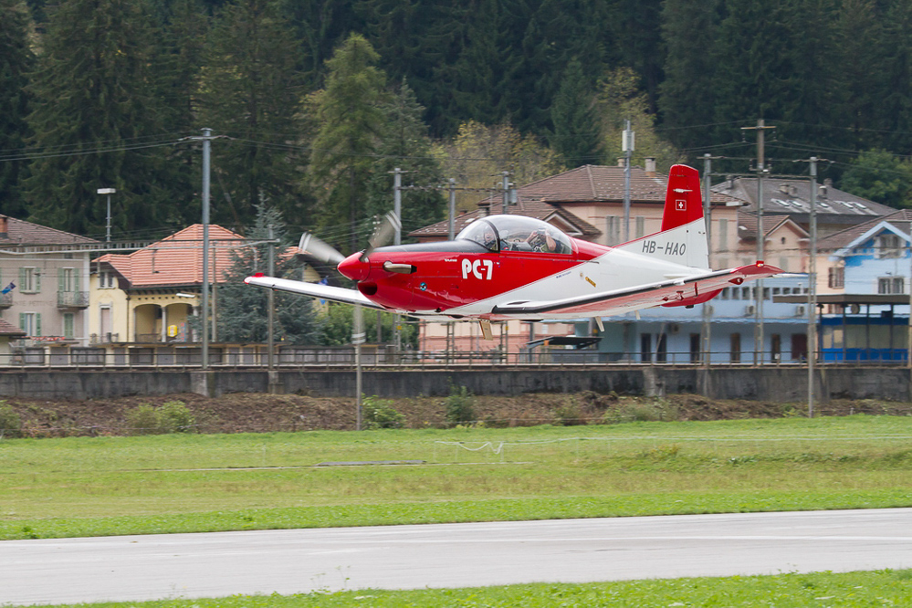 ambri_062