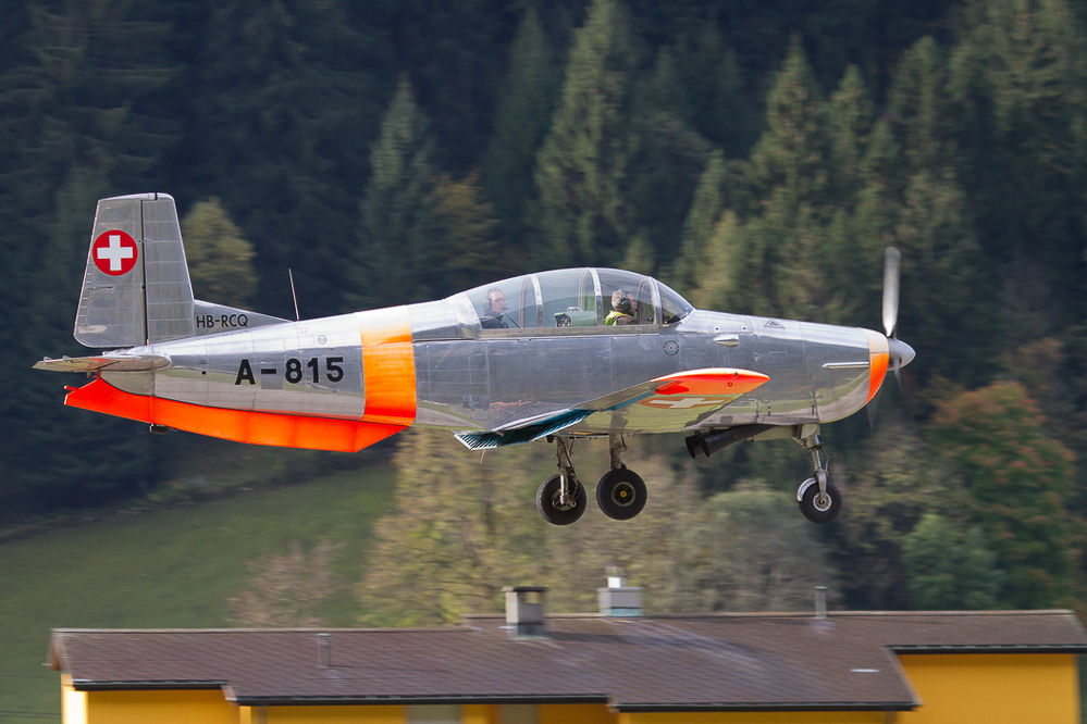 ambri_079