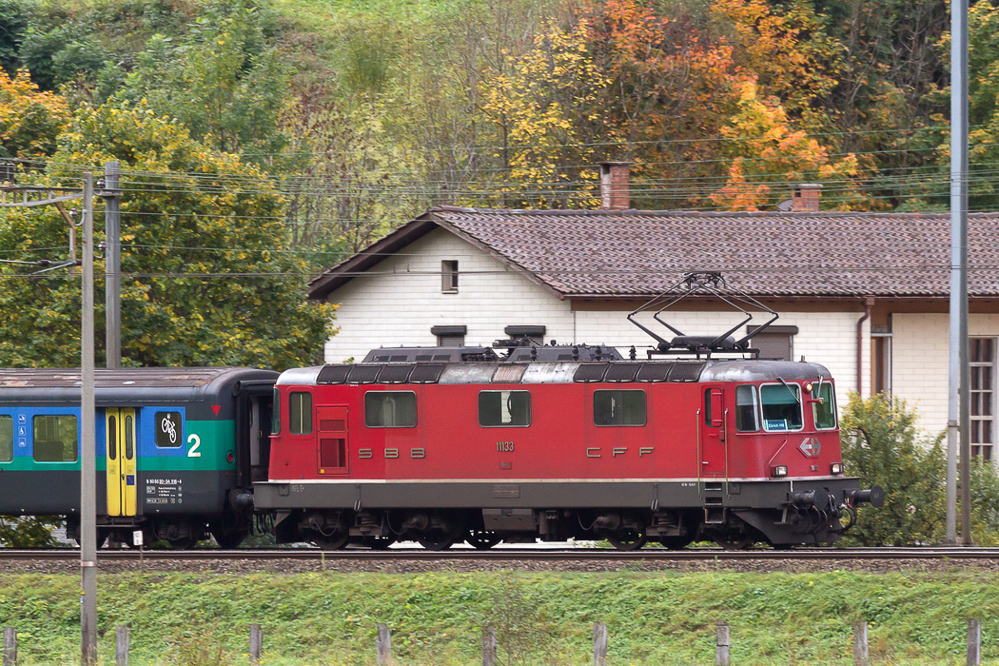 ambri_081