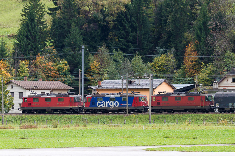 ambri_083