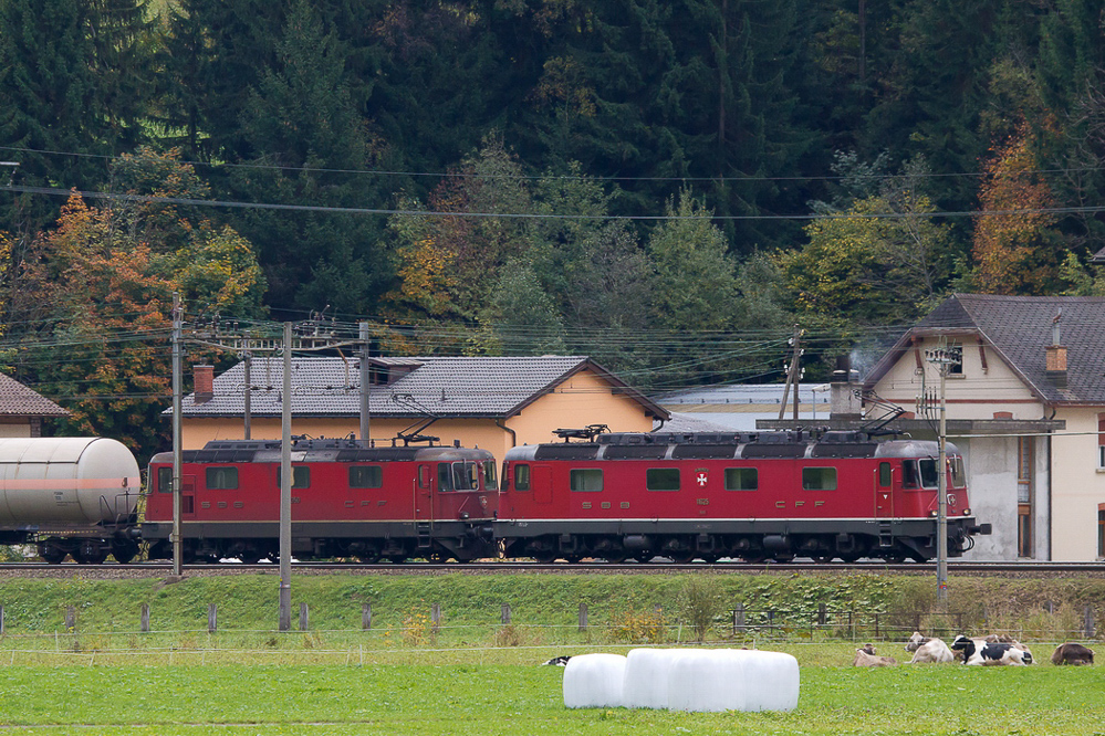 ambri_084