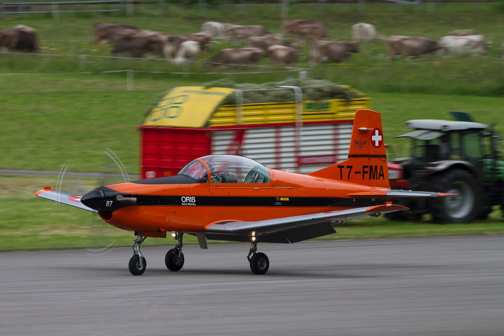 ambri13_027