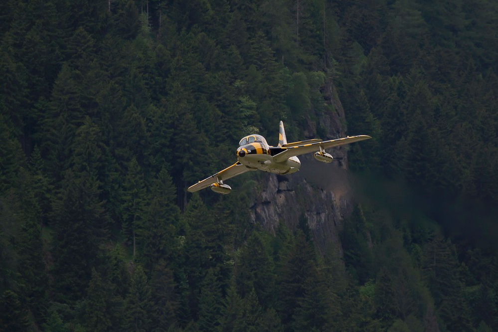 ambri13_036