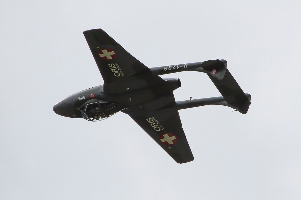 ambri13_039