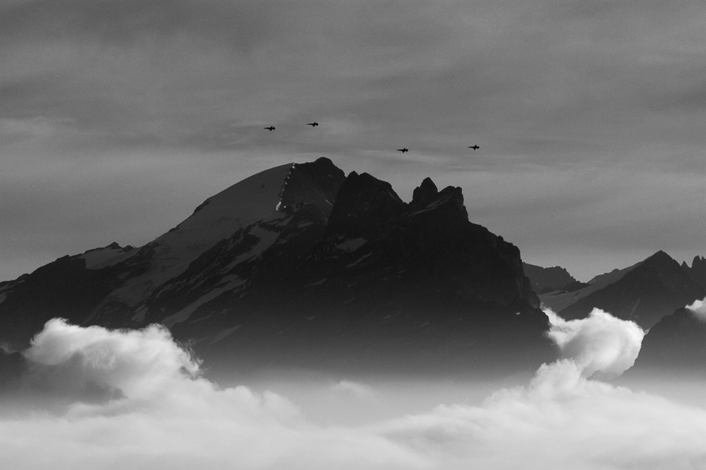 Axalp 07 - ©MD - 013