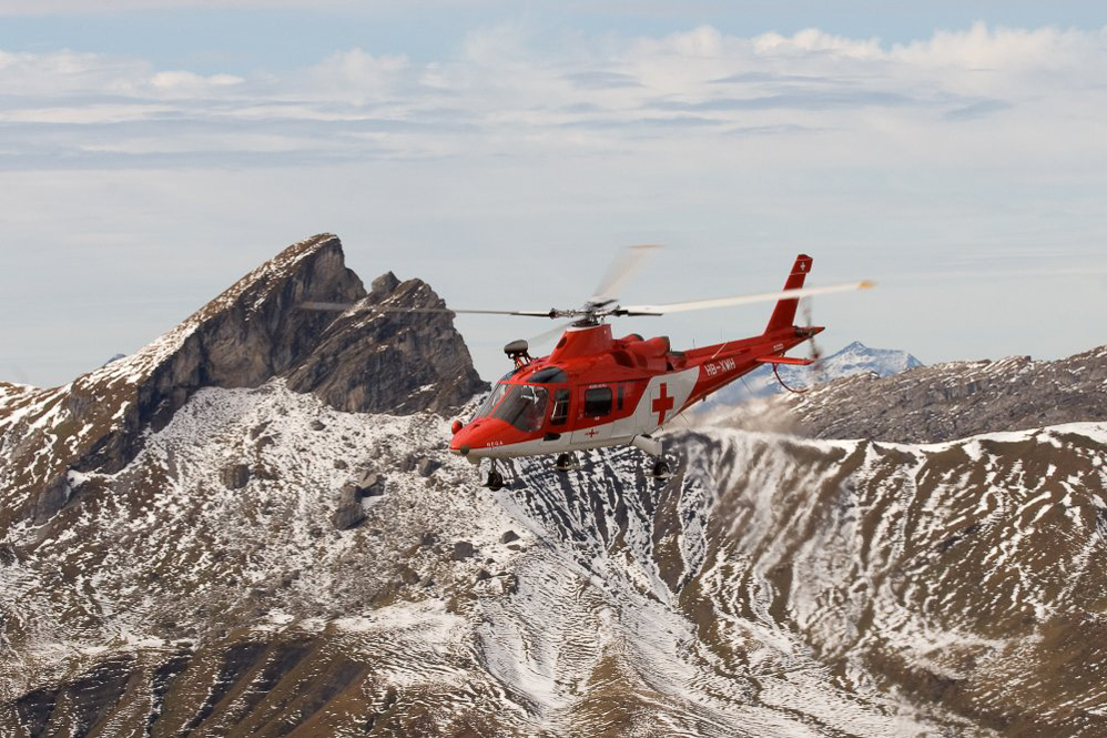 Axalp08 - ©MD - 083 - REGA Demo