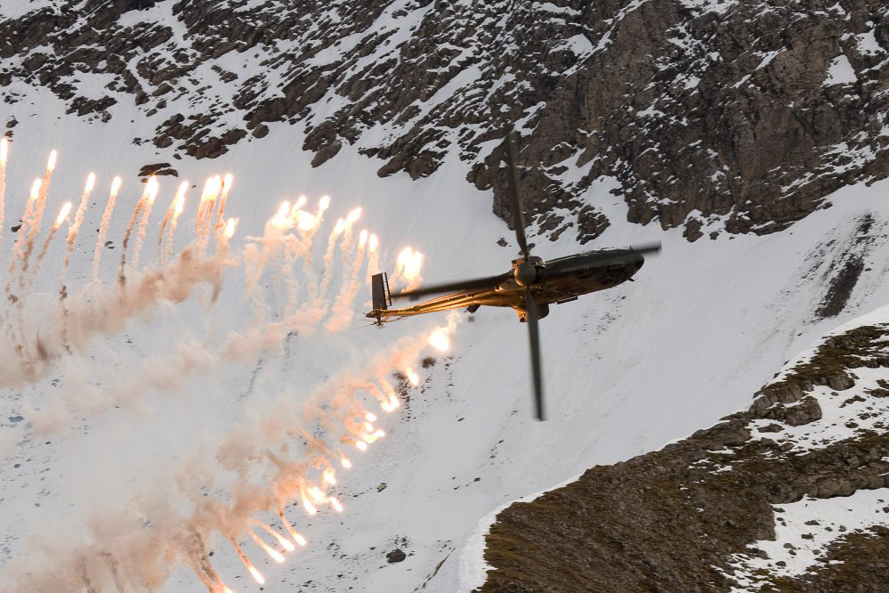 Axalp08 - ©MD - 144 - Cougar mit Flares