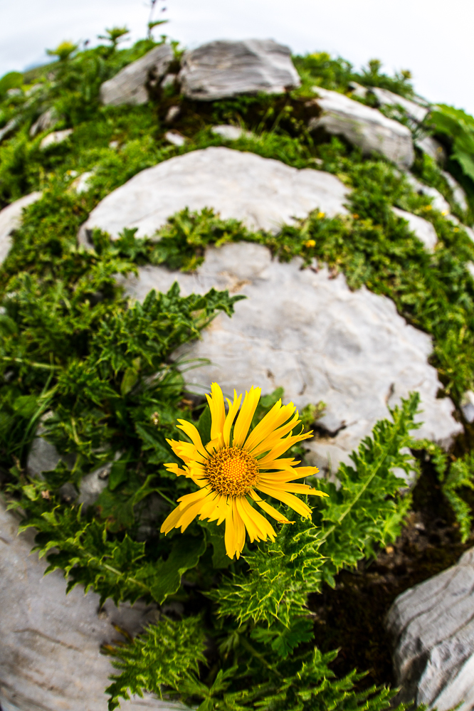 chaeserrugg_011