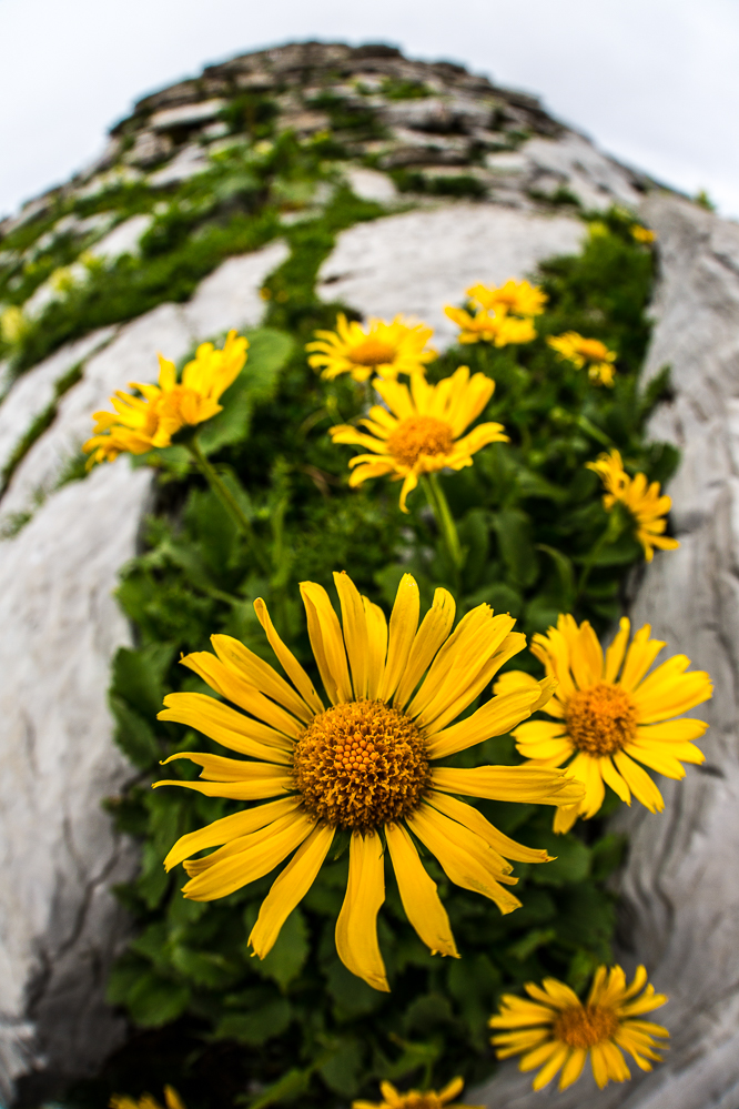 chaeserrugg_012