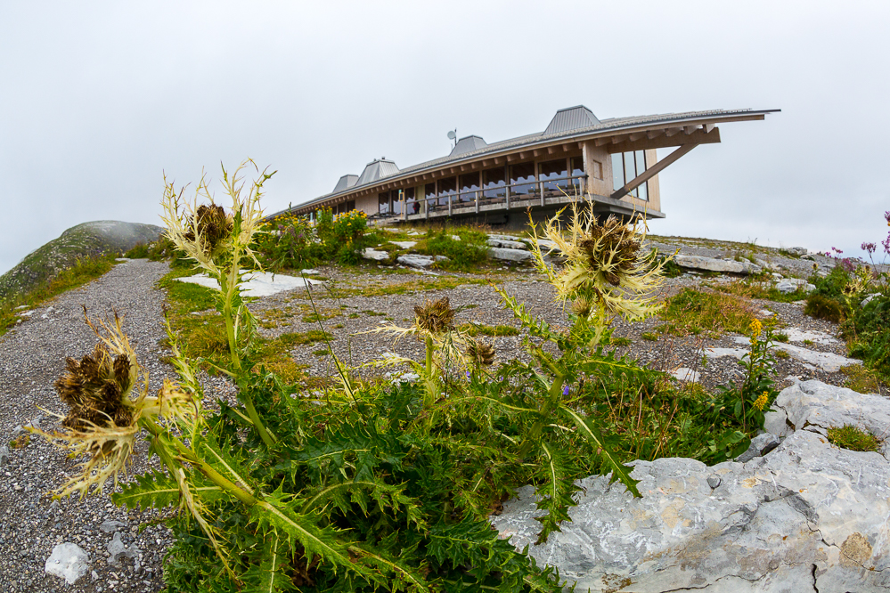 chaeserrugg_016