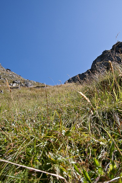 Charenstock-Gandstöck - 020 - Abkürzung zum Stierenweg