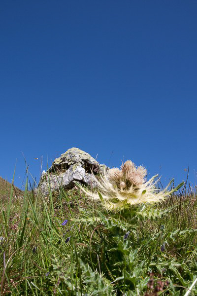 Chrauchtal - 026 - Steingesicht