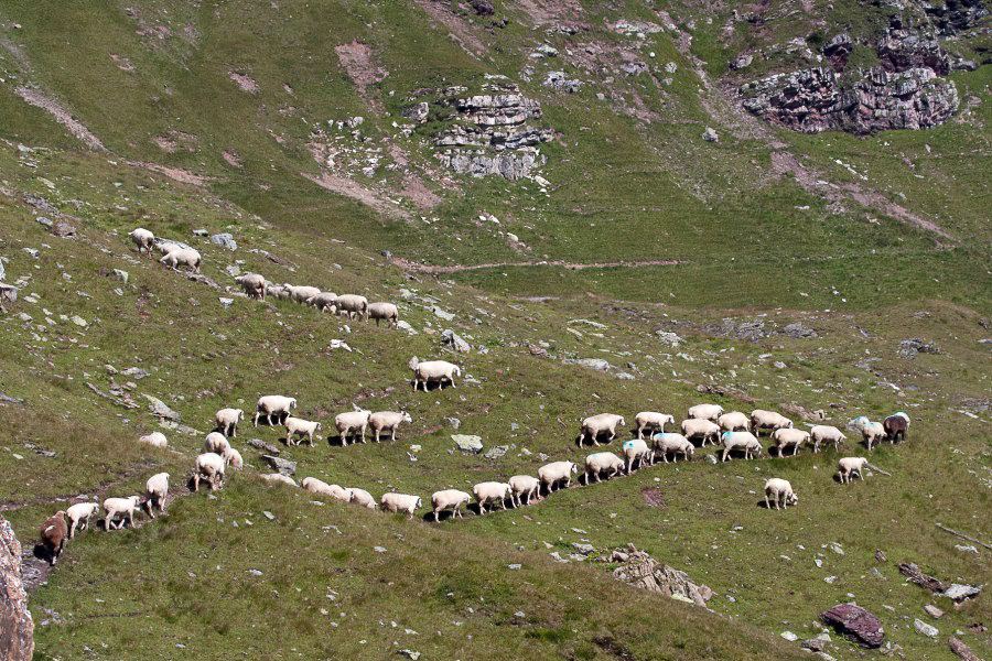 Chrauchtal - 039 - So, alle durch