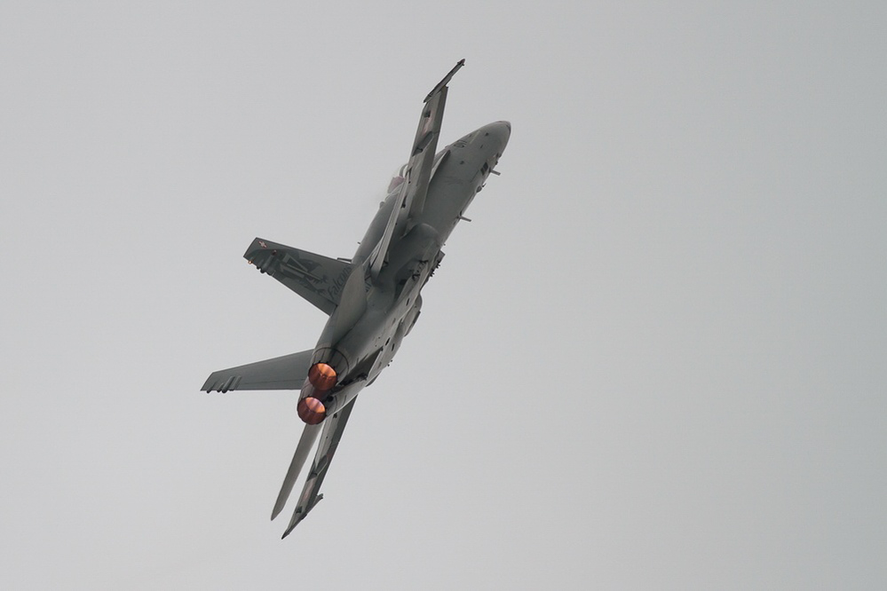 Emmen - 303 - Display Hornet