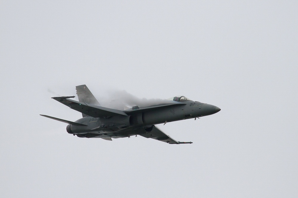 Emmen - 304 - Display Hornet