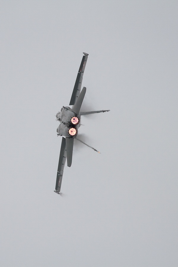 Emmen - 305 - Display Hornet