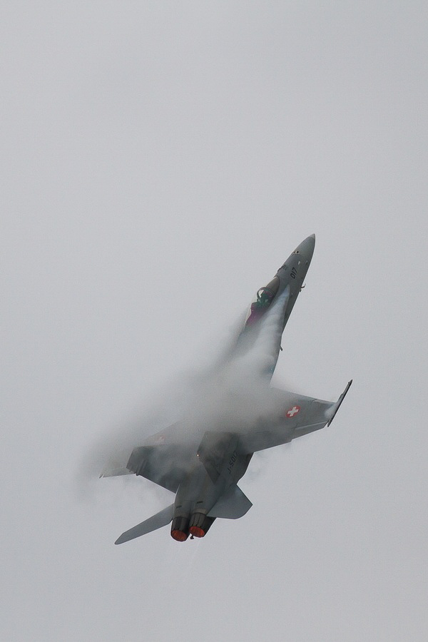 Emmen - 307 - Display Hornet
