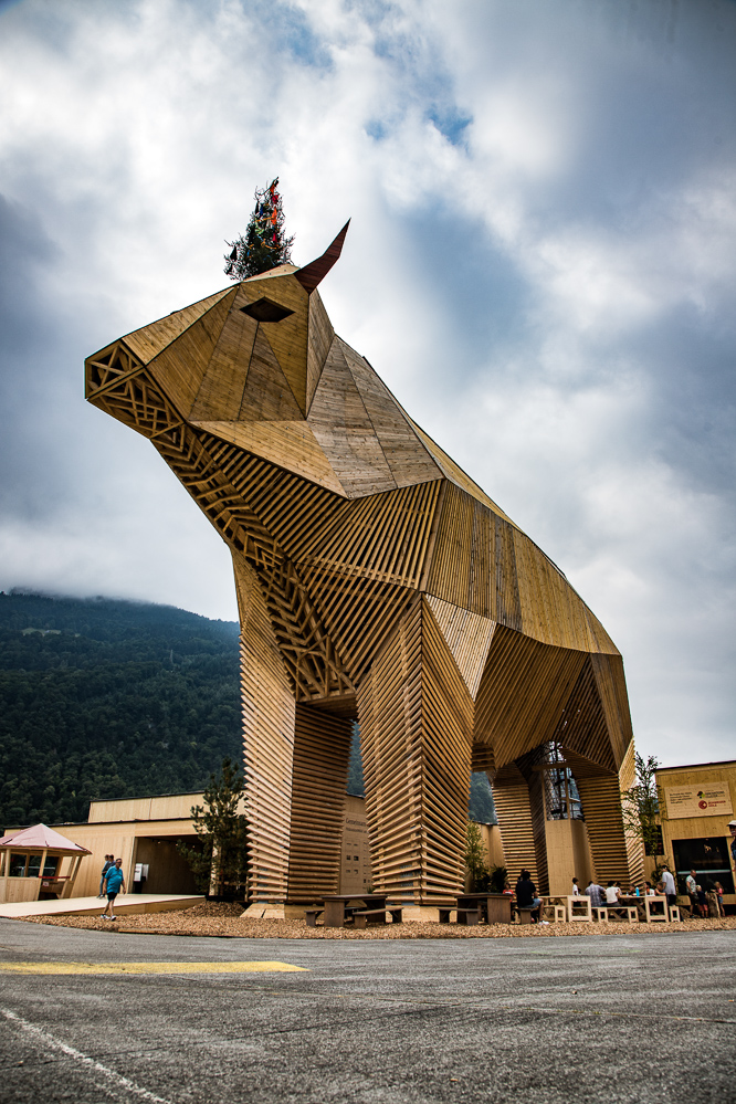 esaf019 - 1708 - Das groesste Rindvieh im GL