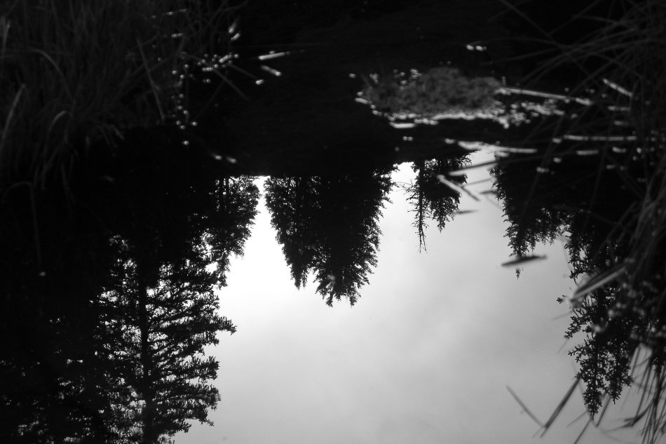 Etzelstock - ©MD - 005 - Wasserspiegelung