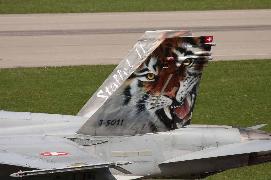 Rund um den Flugplatz 047 - ©MD - Tiger
