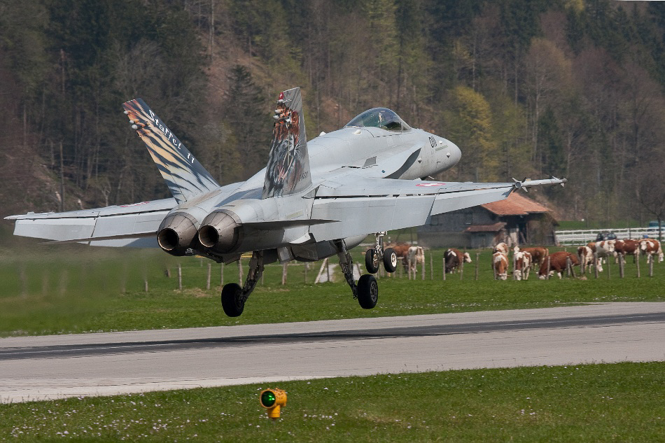 Rund um den Flugplatz 053 - ©MD - Landung