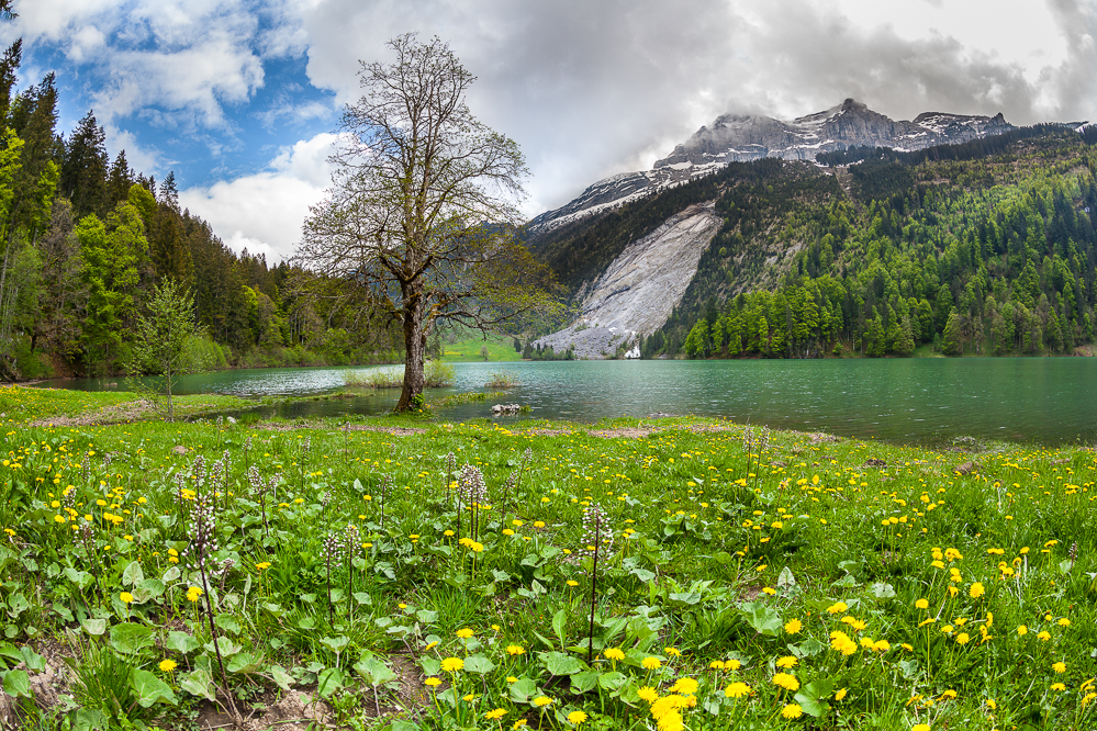 011_Obersee
