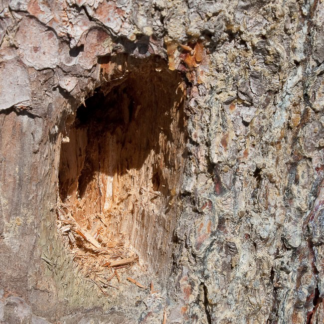 Natur - 003 - Wohnung im Rohbau