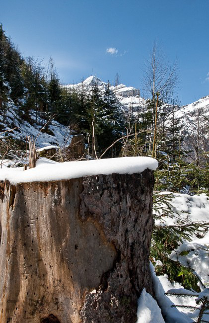 Natur - 005 - Der letzte Schnee